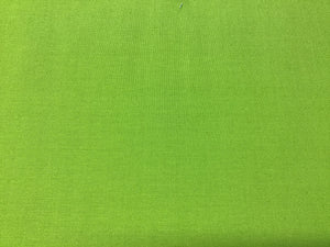 Painter's Palette Solid Apple Green