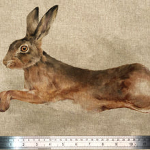 Load image into Gallery viewer, Leaping Hare Panel