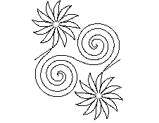 Flowers & Spirals