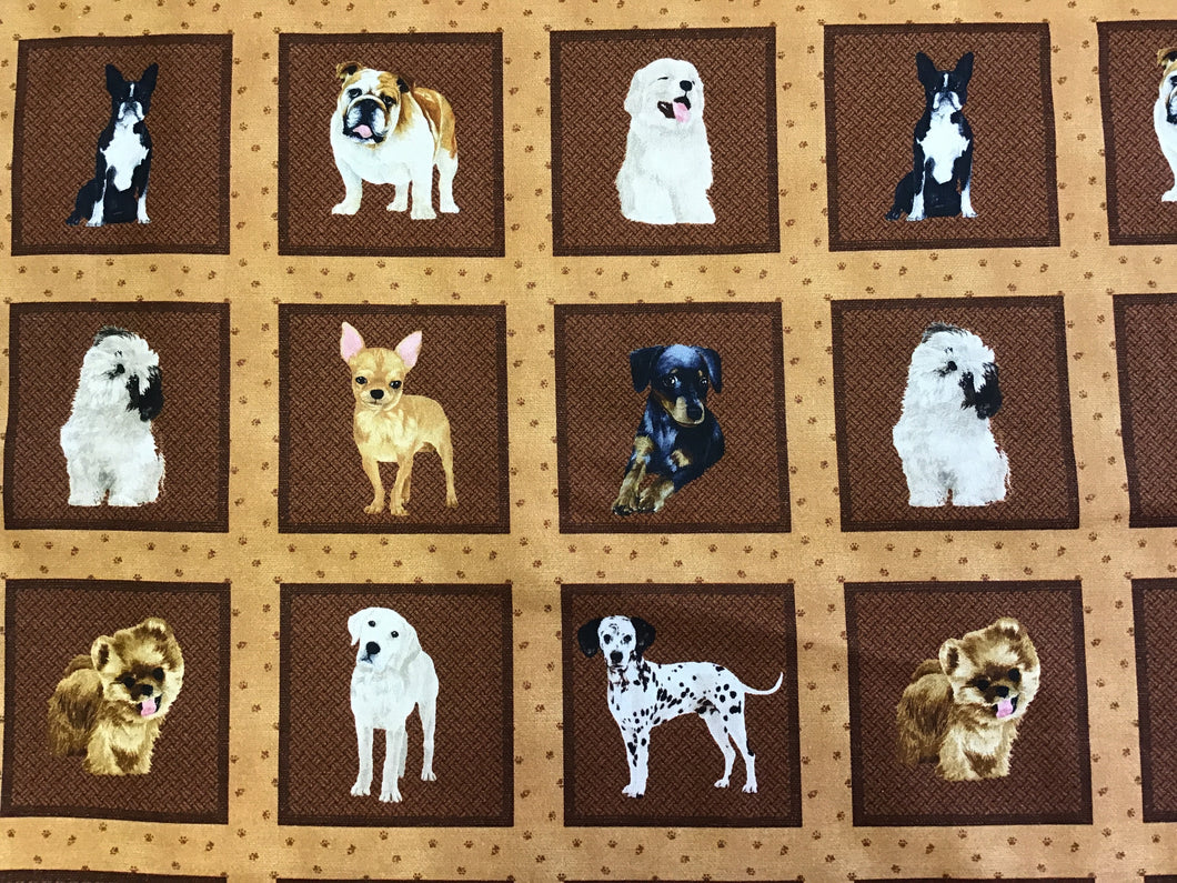 Dog Squares